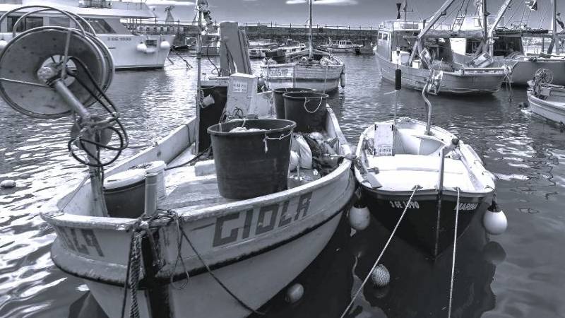 Vecchi lupi
