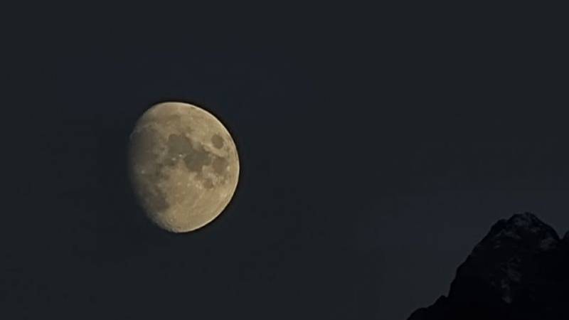 Il diario del collezionista di sogni