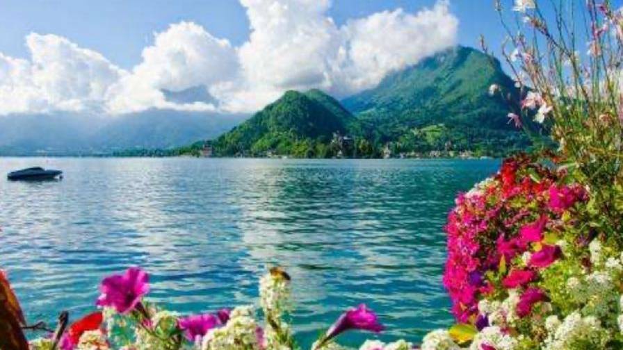 Fantasie Di Primavera