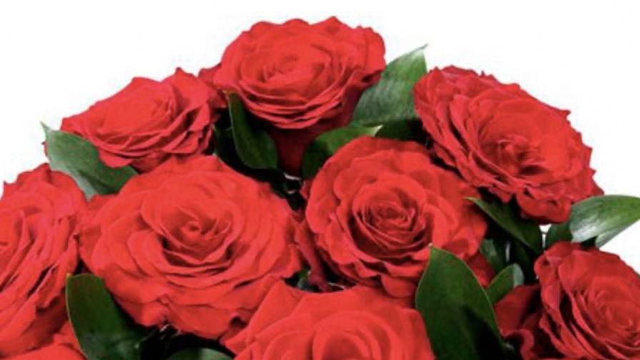 Carnevale Un Giorno Festoso