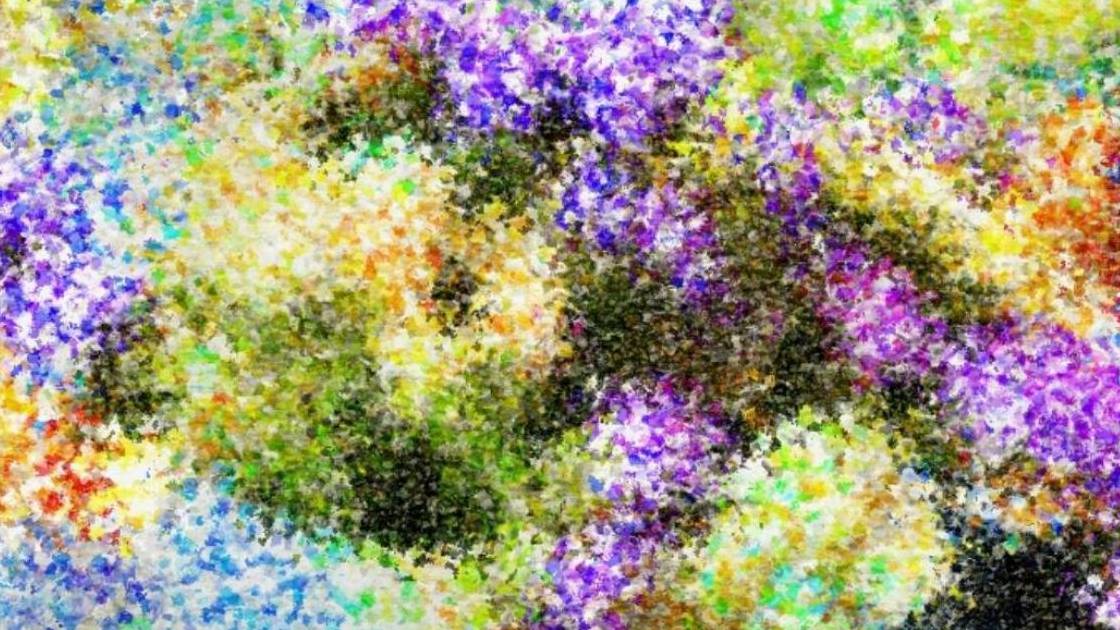 634 - Non mi svegliate