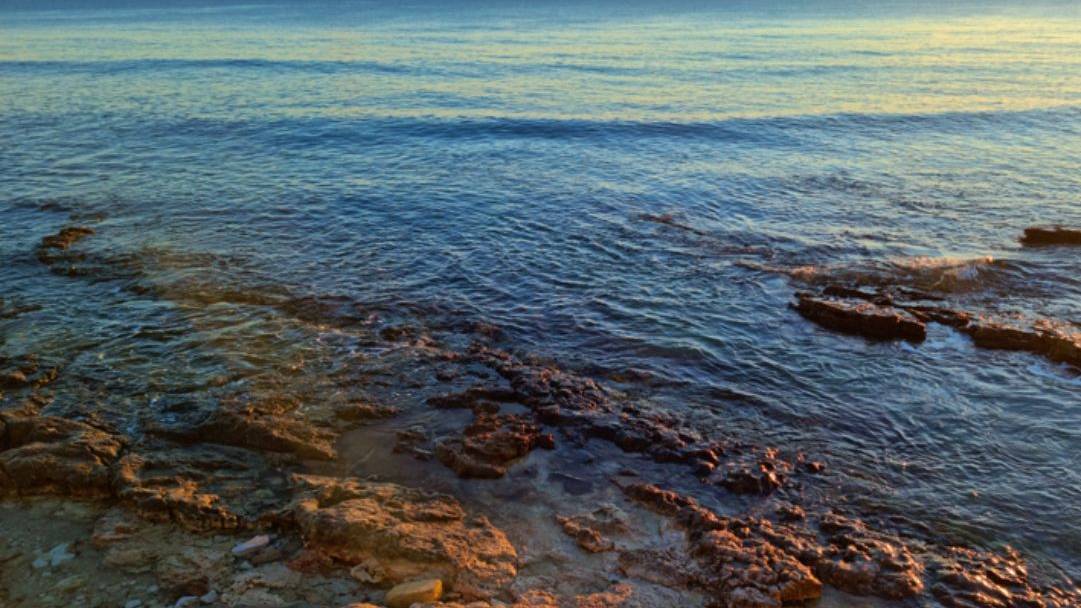 373 - L'anestetico  // 374 - L'onda e la sirena