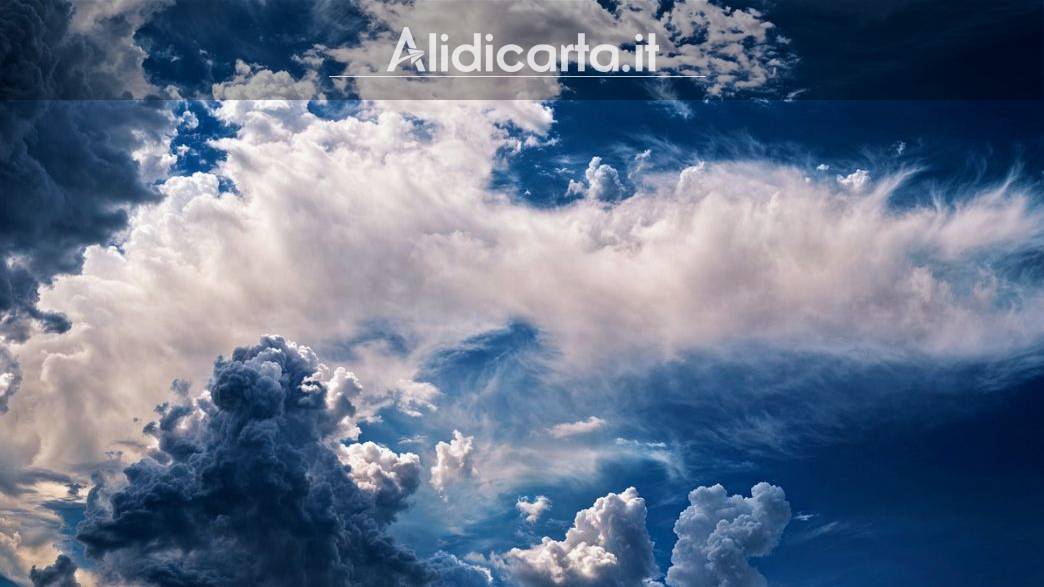 Alidicarta.it - Testo: Ali invisibili, di Fresia