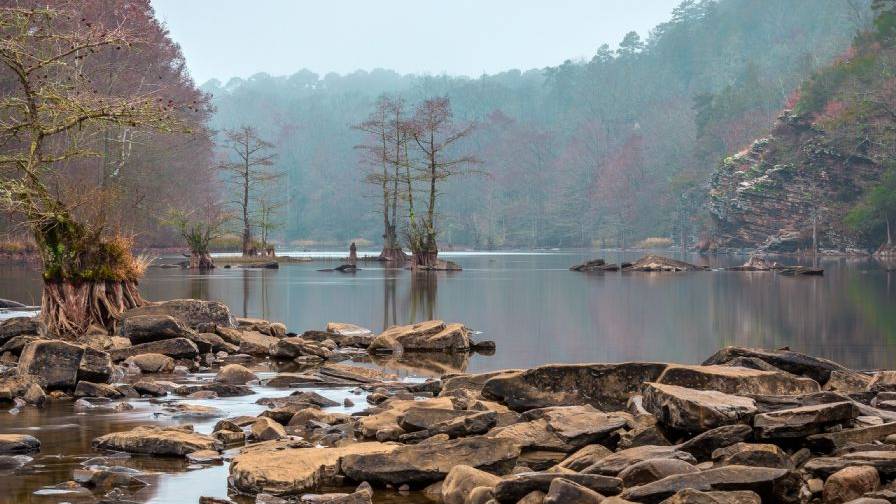 Transizione di stato