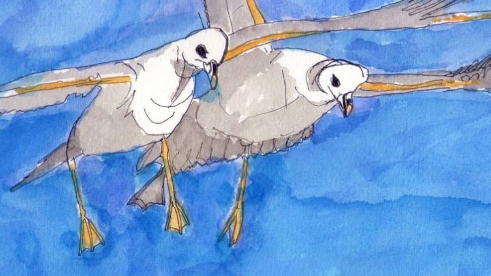 Una piuma di falco rosso per Cavallo Pazzo.