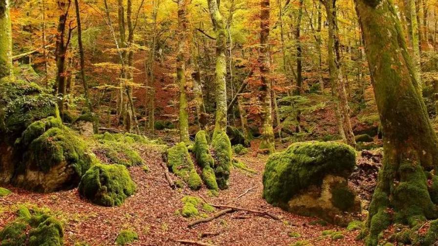 La Stirpe delle Ombre Sussurranti
