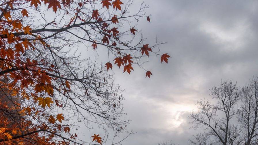 Quando l�autunno penetra nell�anima