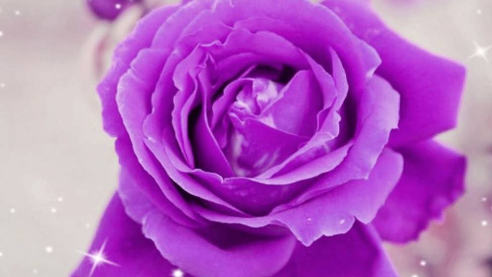 Il Vento delle Nove Solitudini - nuova versione -