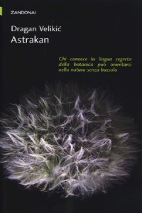 Astrakan
