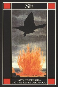 Ci� che resta del fuoco. Testo francese a fronte