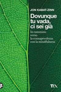 Dovunque tu vada ci sei gi�. In cammino verso la consapevolezza c...