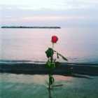 Immagine di Los.Saints