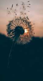 Immagine di gloriaa.baresi