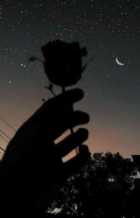 Immagine di Diego. T