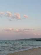 Immagine di soliicaos