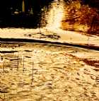 Immagine di Brett Palmer