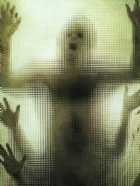 Immagine di Centipede umano