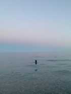 Immagine di Sara1208