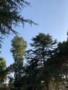 Immagine di Federic0