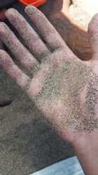 Immagine di frafloris13