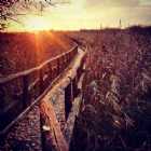 Immagine di Hermion65