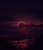 Immagine di Blackbird