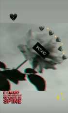 Immagine di Blackie Jay