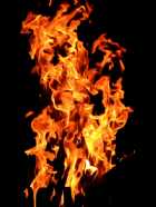 Immagine di dawnHelel