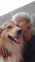 Immagine di Aristide