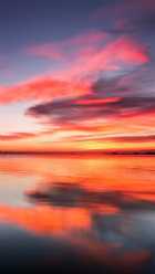 Immagine di Francisca