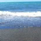 Immagine di Loredana