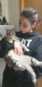 Immagine di Luthiyen