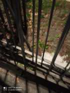 Immagine di Anco Marzio