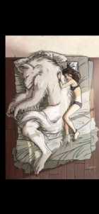 Immagine di Dedalo.72