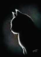 Immagine di Suterareta neko