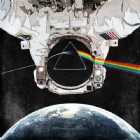 Immagine di Forry_02