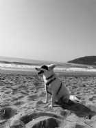 Immagine di Silvia91