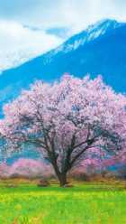 Immagine di Solounumero18021983