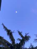 Immagine di BubbleandCupboard