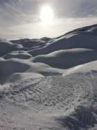 Immagine di Marina Strada