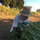 Immagine di Andrea Cardini