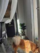 Immagine di Max Power