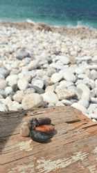 Immagine di MaiSenza