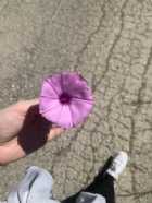 Immagine di Eternamenteriflessiv