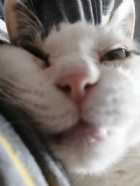 Immagine di IlDucaBianco