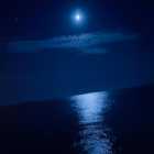 Immagine di animanera