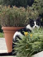 Immagine di Cristy Lind