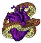 Immagine di Kosmo903