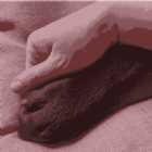 Immagine di Wally La Mar