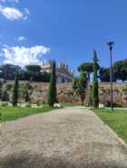 Immagine di Sofia Ossa